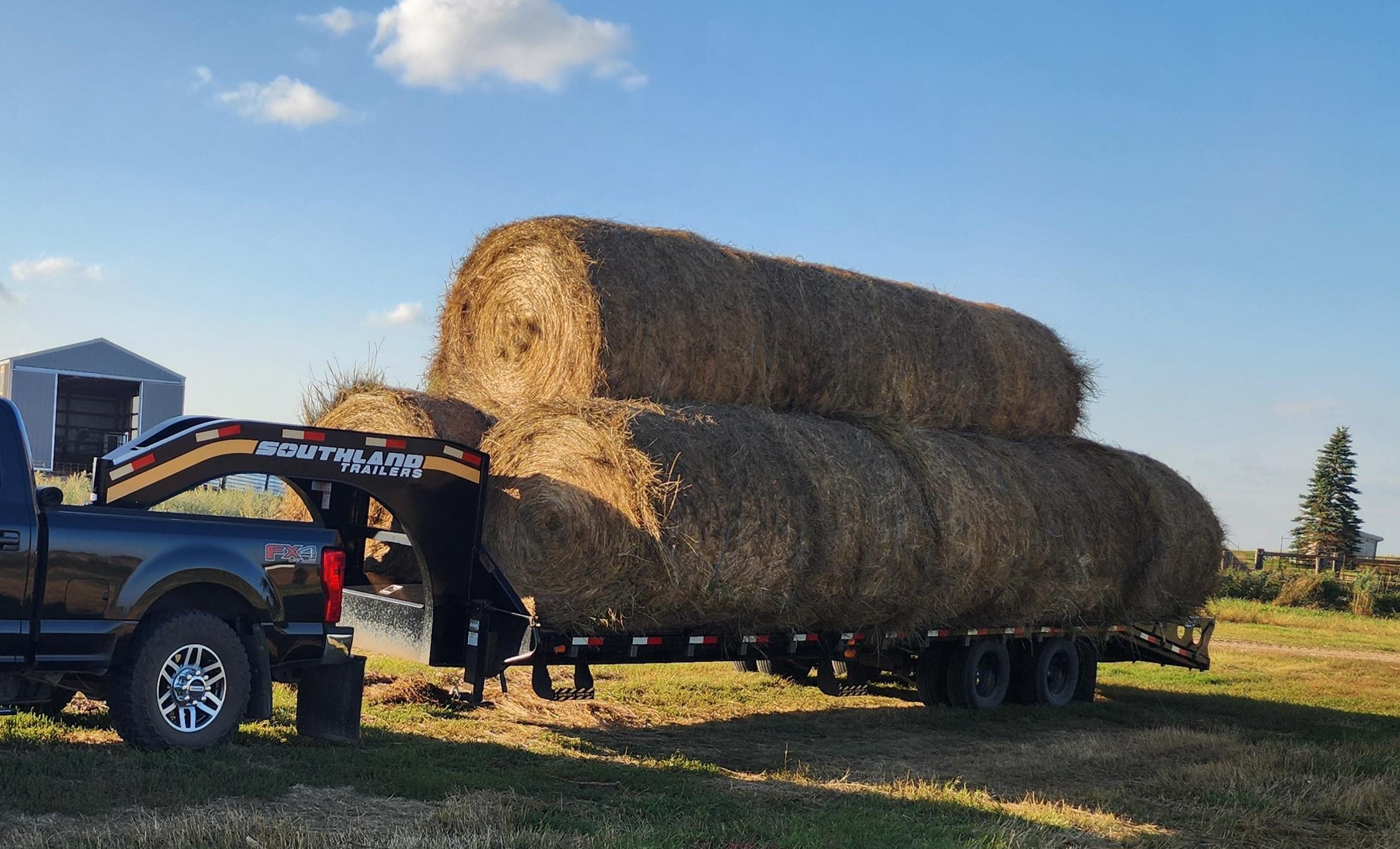 Pipeless hay sides installed on a working hay trailer